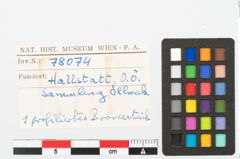 Foto von Bronzebuckelarmreif (NHMW-PRAE-078074)
